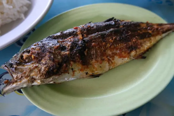 bu-baligin-tam-mevsimi-en-lezzetli-en-sagliklisi-aralik-ayinda-yeniyor-ne-levrek-ne-hamsi-onu-mutlaka-simdi-de-1702913506420.jpg Ne levrek ne hamsi onu mutlaka şimdi denemelisiniz: Bu balık Aralık ayında yeniyor!-7