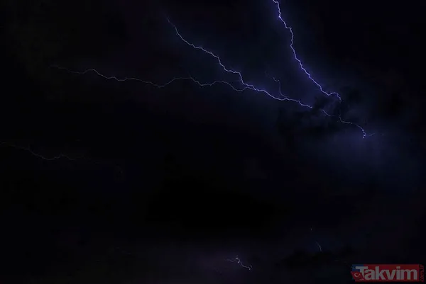 Muğla Bodrum'da hep aynı manzara! Evleri su bastı, sokak hayvanları boğuldu - 27