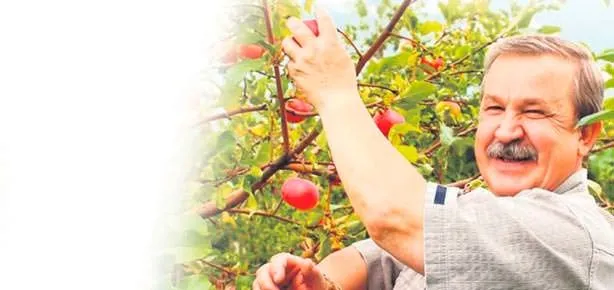 Torba nefes aldıracak