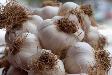 Şifa niyetine sarımsak