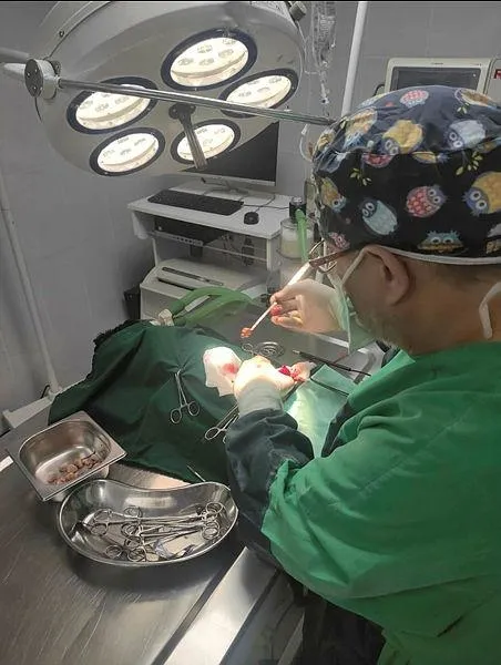 kopegin-mesanesinden-cikanlar-soke-etti-tam-55-parca-1664793814076.jpeg Köpeğin mesanesinden çıkanlar şoke etti! Tam 55 parça-4