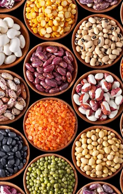 Türkiye, İsrail'e tohumluk ihraç ediyor