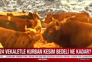 2024 kurbanlık fiyatları ne kadar?