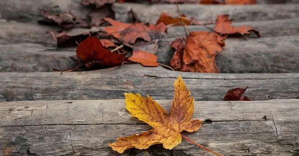 ruyada kor oldugunu gormek ne anlama gelir takvim