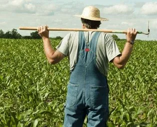 Tarım işçilerine yüzde 12,5 zam