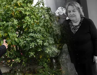 Acı detaylar ortaya çıktı! Sivrisinek sokması sonucu...