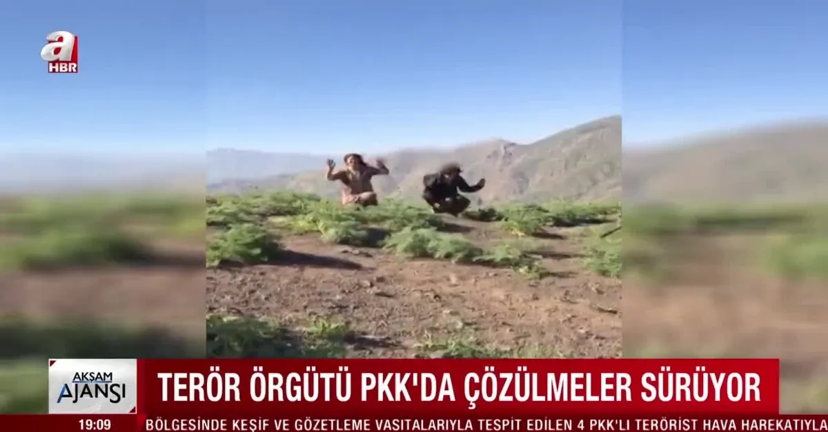İçişleri Bakanlığı duyurdu: 5 PKK'lı terörist teslim oldu