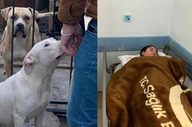 Adıyaman'da Pitbull dehşeti! Bir anda fırladı...