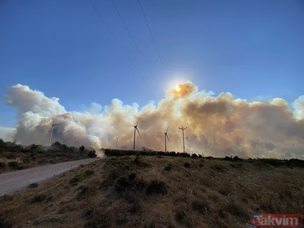 İzmir ve diğer illerde alevler kontrol altına alındı! Menderes'i yakan 'hobi' Çeşme'de izmarit izi: Bakan 'haftaya dikkat' diyerek uyardı - 39