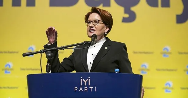 Akşener yeniden İPe genel başkan oldu