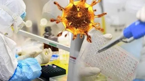 Koronavirüse böyle yakalanıyoruz! Bunu daha önce bilmiyordunuz! Bağırsaklardan sinir sistemine kadar tek tek anlatıldı-2