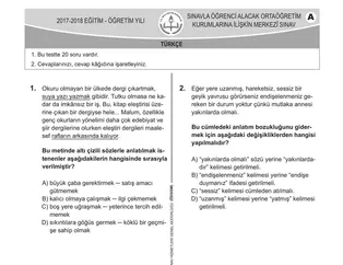 LGS soruları ve cevapları 2018! Türkçe Matematik ve Fen Bilimleri LGS sınav soruları ve cevapları yayınlandı