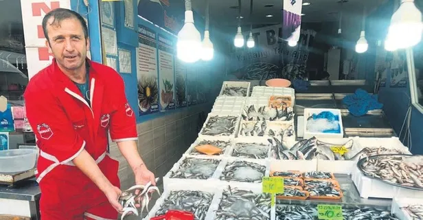 Balık av sezonu başladı! Tezgah şenlendi