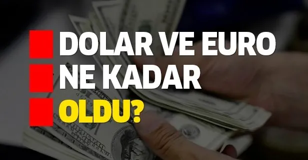 Dolar ve euro ne kadar oldu?