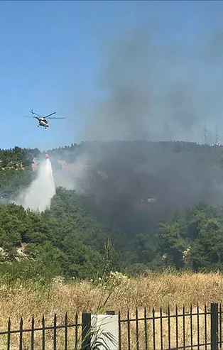 Çanakkale'de orman yangını