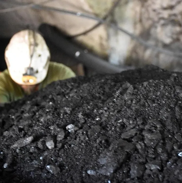 Türkiye Taşkömürü Kurumu 263 işçi alacak