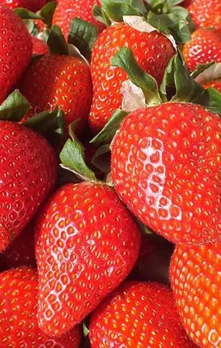 Çilekle dişler güçlü