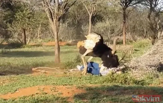 Sadece fotoğraf çektirmek istedi genç kız hayatının şokunu yaşadı! Bir anda üzerine atladı ne var yok... - 12