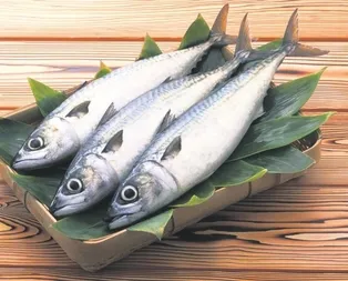 Balık kolesterol düşmanı