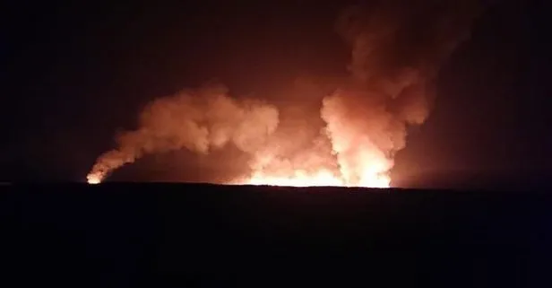 Kayseri’deki Sultan Sazlığı Milli Parkı’nda çıkan yangın kontrol altına alındı