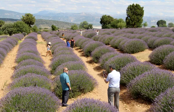 turkiyenin-lavanta-bahcesi-isparta-kuyucak-koyunde-koronavirus-gorulmedi-1612852846064.jpg Türkiye'nin lavanta bahçesi! Isparta Kuyucak köyünde koronavirüs görülmedi-8