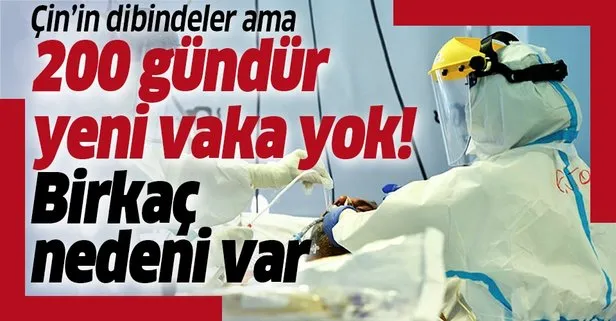 Çin'in dibindeki ülkede 200 gündür yeni vaka yok!