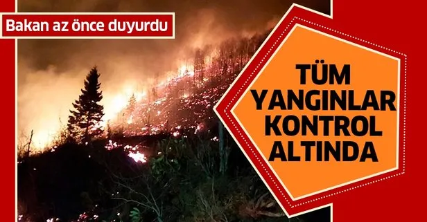 Son dakika: Bakan Pakdemirli’den Karadeniz’deki orman yangınları ile ilgili açıklama