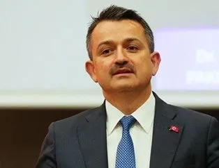 ‘Kurbanlık yeterli’