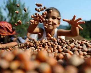 Fındık alım fiyatları belli oldu