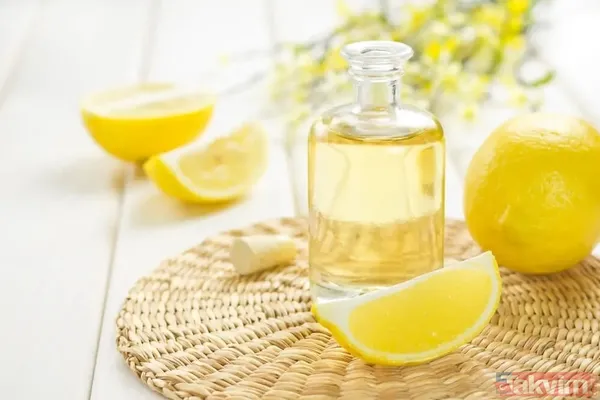 Sinek kovucu doğal yöntemler neler? Sinek ısırığına ne iyi gelir? 1 dakikada sivrisineğe kesin çözüm! - 11