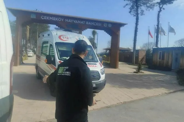 Çekmeköy'de silahlar konuştu! Hayvanat bahçesindeki silahlı kavgada 2 kişi hayatını kaybetti