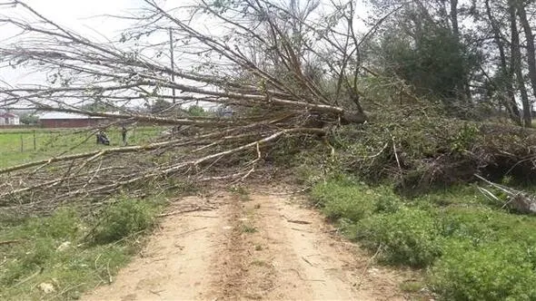Kastamonu'da hortum paniği! 20 dakika sürdü-5