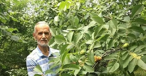 Kardeş kavgası kanlı bitti!