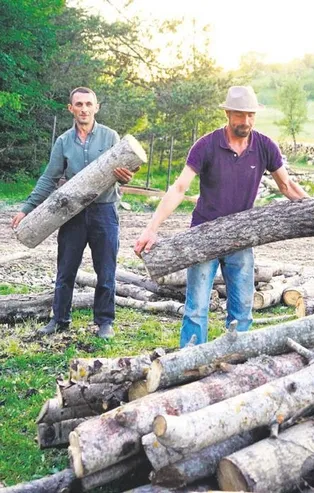 Kastamonu’da anne ayı ile iki yavrusu orman işçilerini rehin aldı
