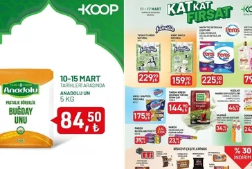 Tarım Kredi Market 11-17 Mart 2025 kataloğu | 15 üründe altın indirimler: 5 LT Ayçiçek yağı 304 TL’ye düştü!