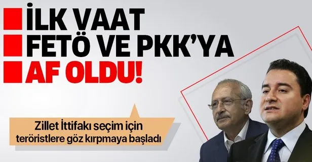 İlk vaat FETÖ ve PKK'ya af!