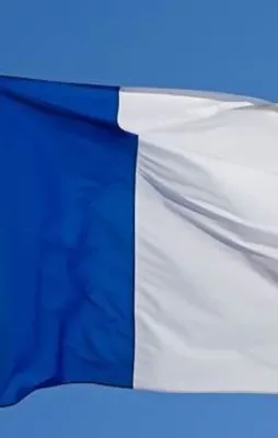 Fransa'da kuş gribi yayılıyor