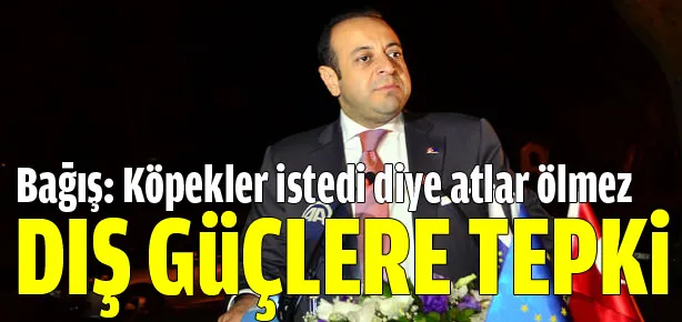 Egemen Bağış dış güçlere meydan okudu!