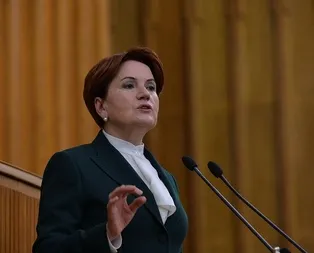 Meral Akşenerin vekil takası beyanına tepki: El kaldırıp indiren piyonlar