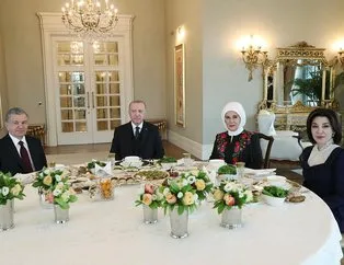 Erdoğan, Mirziyoyev ile görüştü