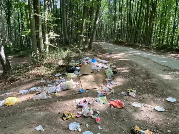 Belgrad Ormanı’nda çöp öbekleri hala toplanmadı! CHP'li İstanbul Büyükşehir Belediyesi'nin ihmali devam ediyor-5