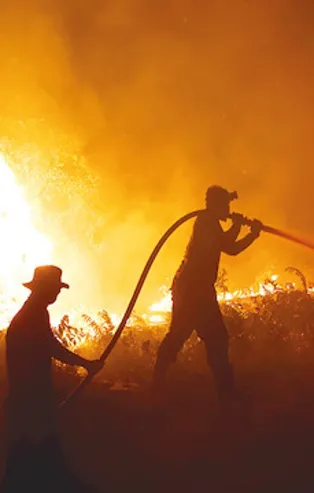 CHP ve İyi Parti terör örgütüne kalkan oldu