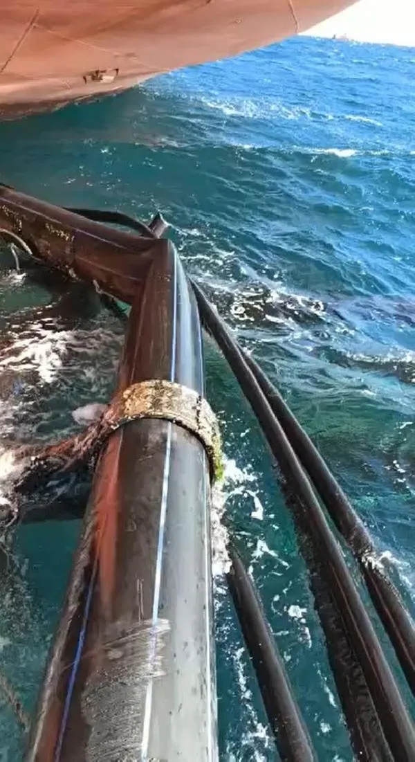 Muğla'da 20 milyonluk kaza! Kuru yük gemisi balık çiftliği havuzlarına çarptı-4
