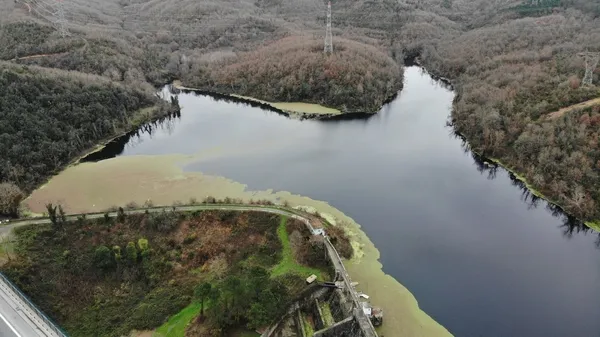 istanbulun-ihtiyacini-karsilayan-elmali-barajinda-su-seviyesi-yuzde-2423e-dustu-yesil-tabaka-kaplandi-1608534712398.jpg İstanbul'un ihtiyacını karşılayan Elmalı Barajı'nda su seviyesi yüzde 24,23'e düştü yeşil tabaka kaplandı-6