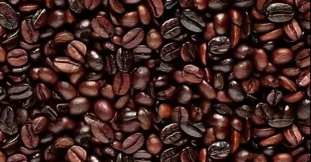 İlk bakışta kimse göremiyor! Sadece 8 saniyede kahve çekirdeklerinin arasındaki gizli yüzü bul