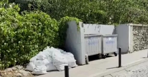 Cani anne bebeğini defalarca bıçaklayarak öldürdükten sonra yaktı