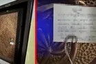 İzmir'de korkunç manzara! Yaşlı kadının kemikleri bulundu