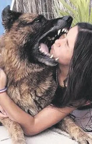 Alman kurduyla fotoğraf çektirecekti... Yüzüne 40 dikiş atıldı!