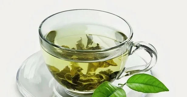 Uzun ömrün sırrı yeşil çay