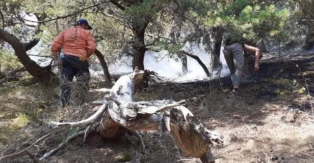 Son dakika: Amasya’daki orman yangınıyla ilgili 2 çoban gözaltına alındı!